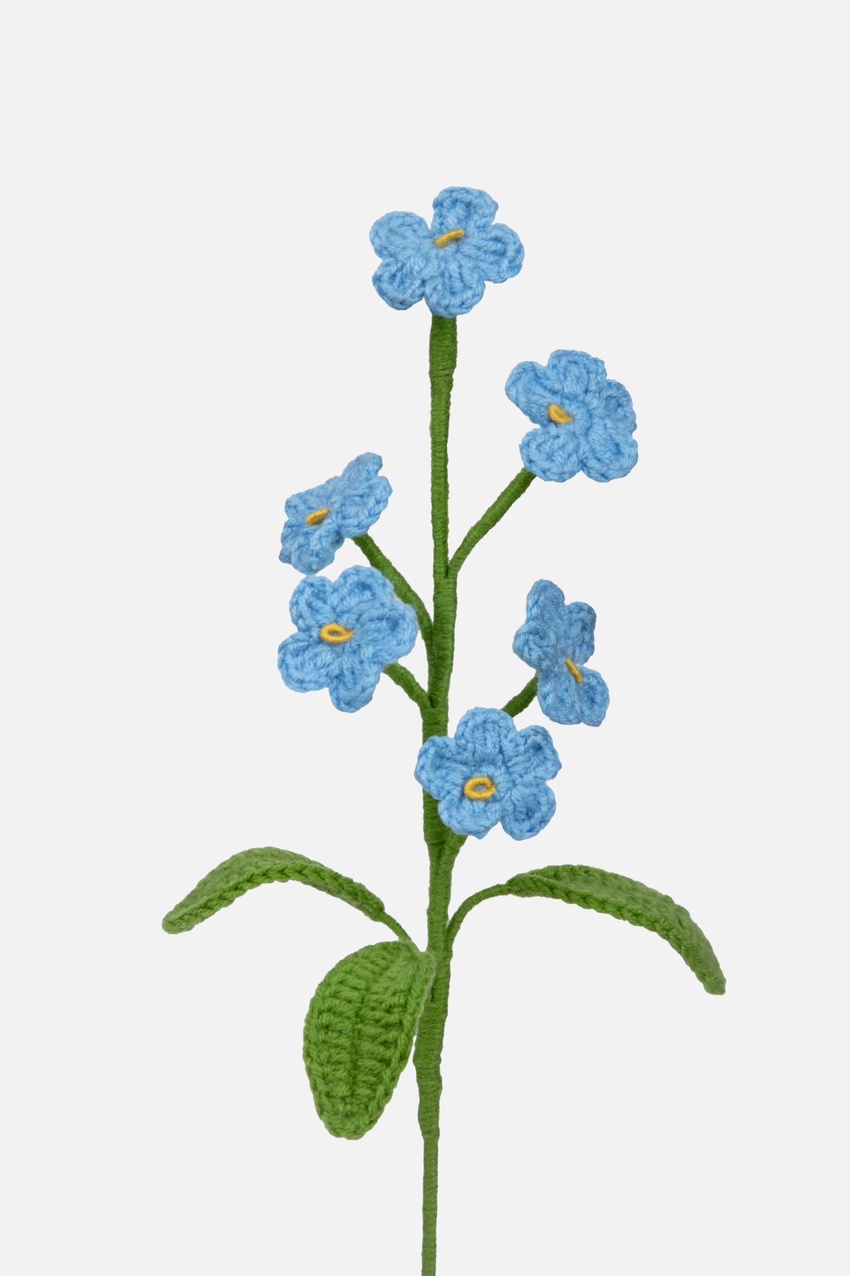 Forget-me-not – The Loop Chapter