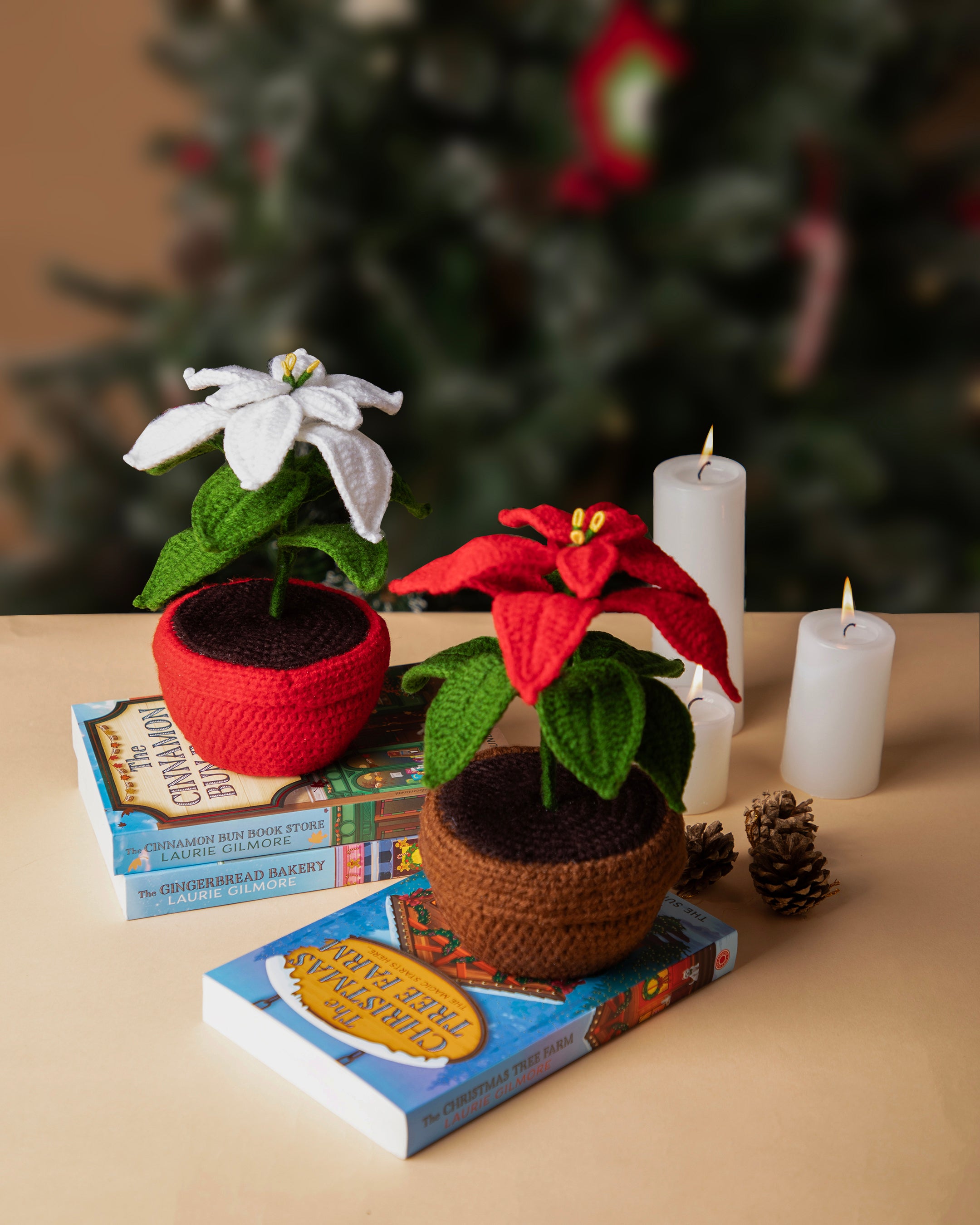 Poinsettia Bloom Pot