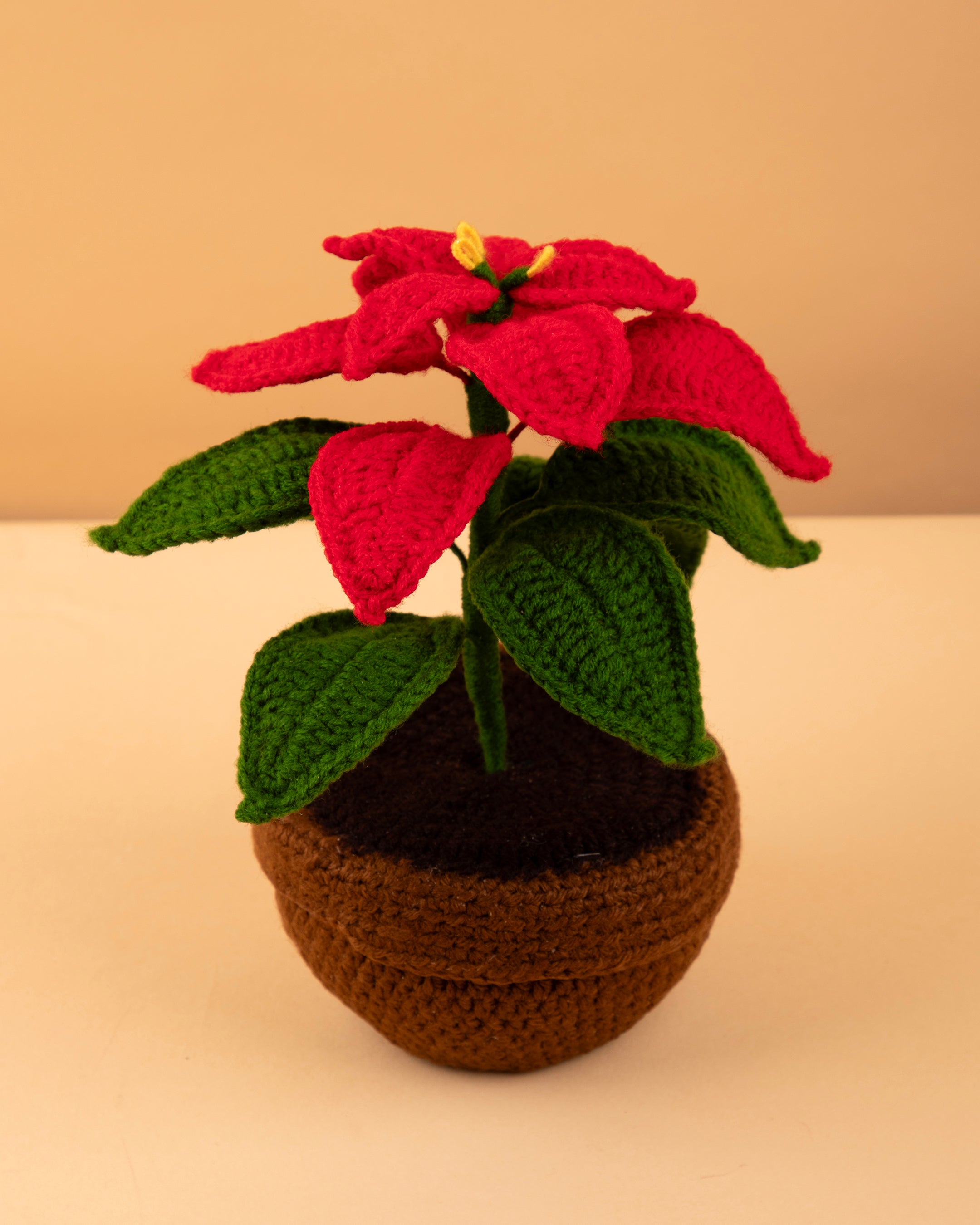red christmas plant pots Poinsettia Bloom Pot – The Loop Chapter