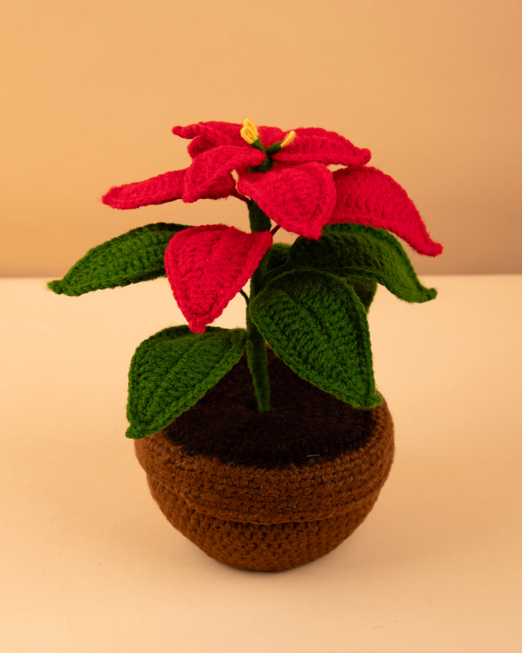 Poinsettia Bloom Pot