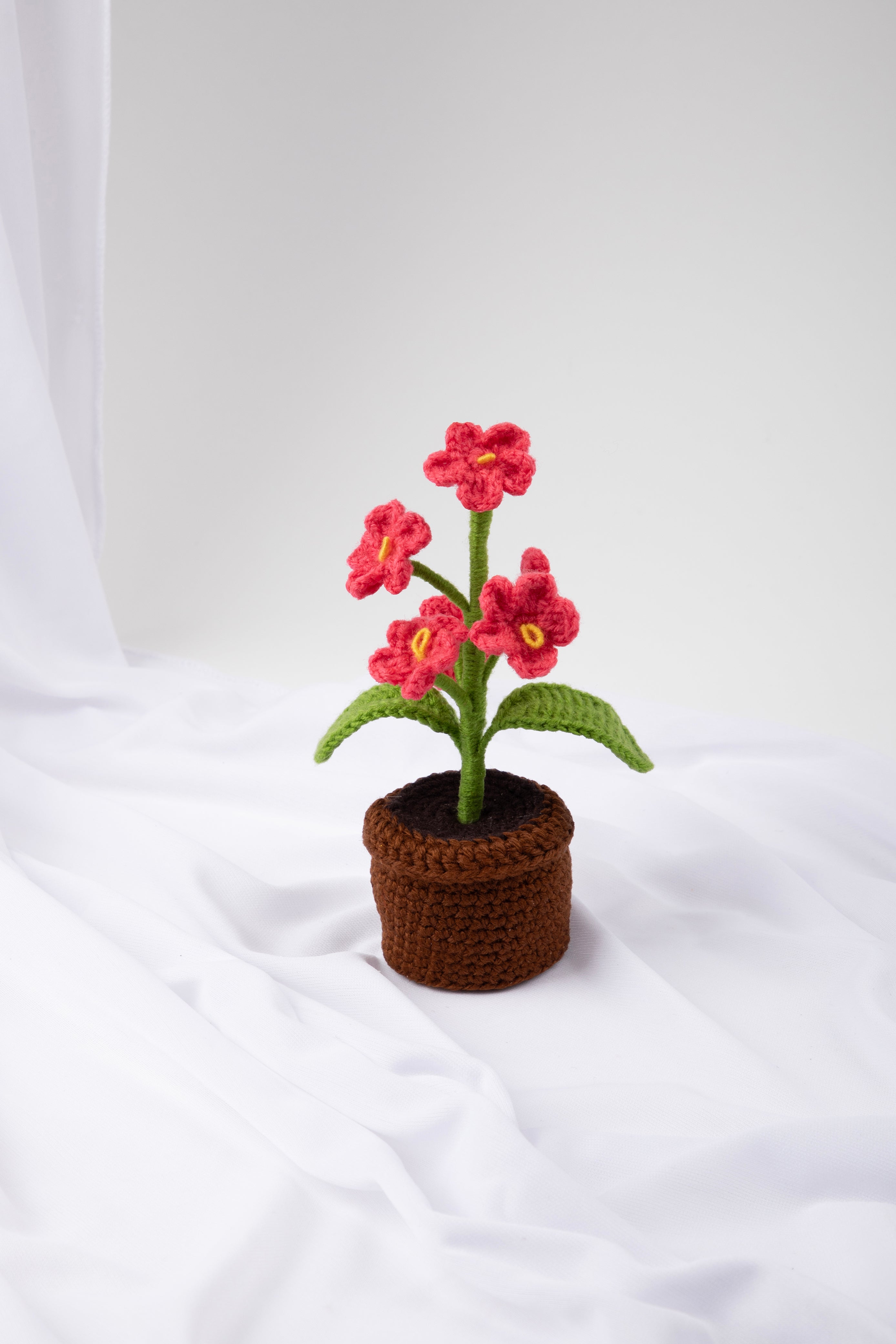 Forget-me-not Garden Pot