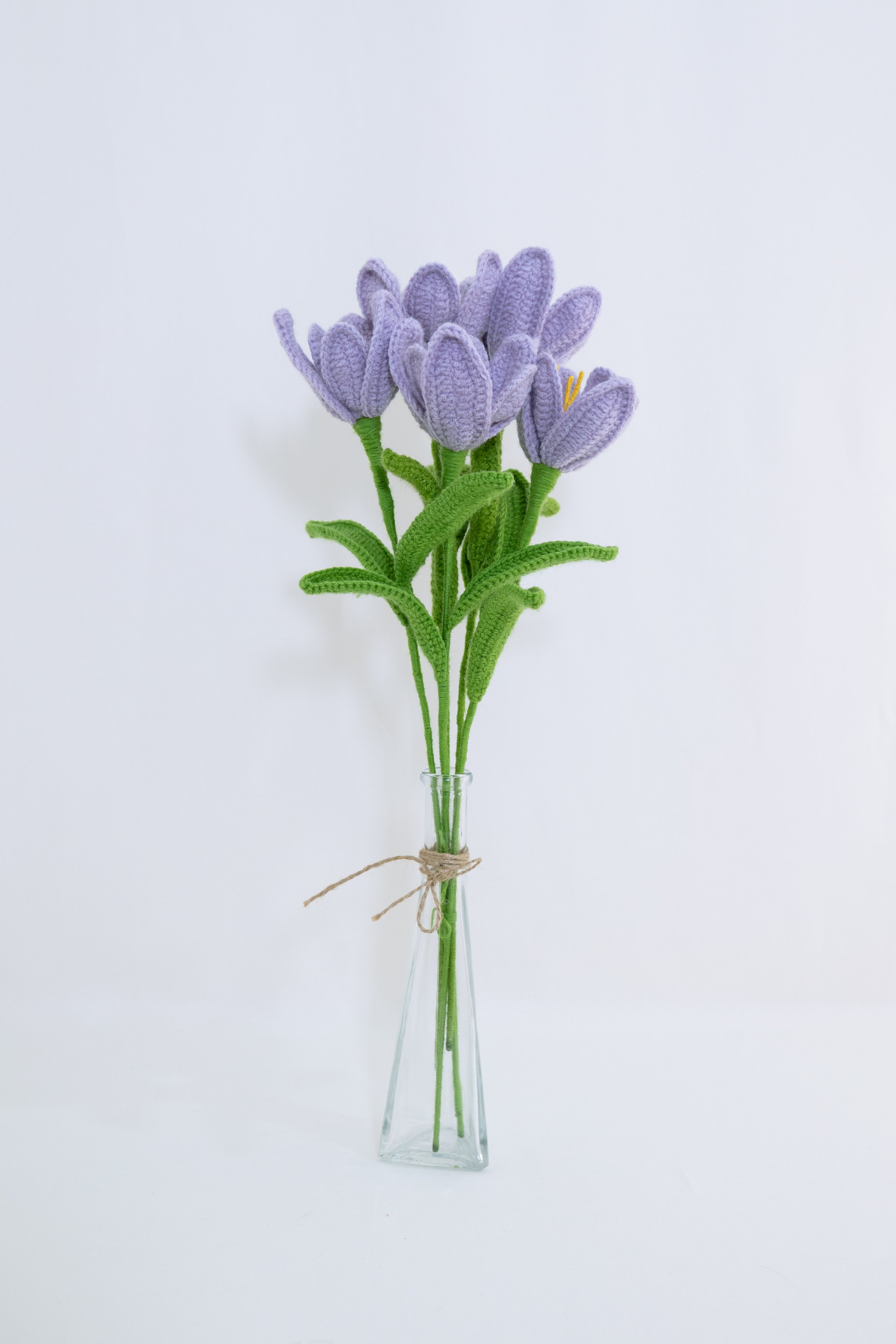 Tulip