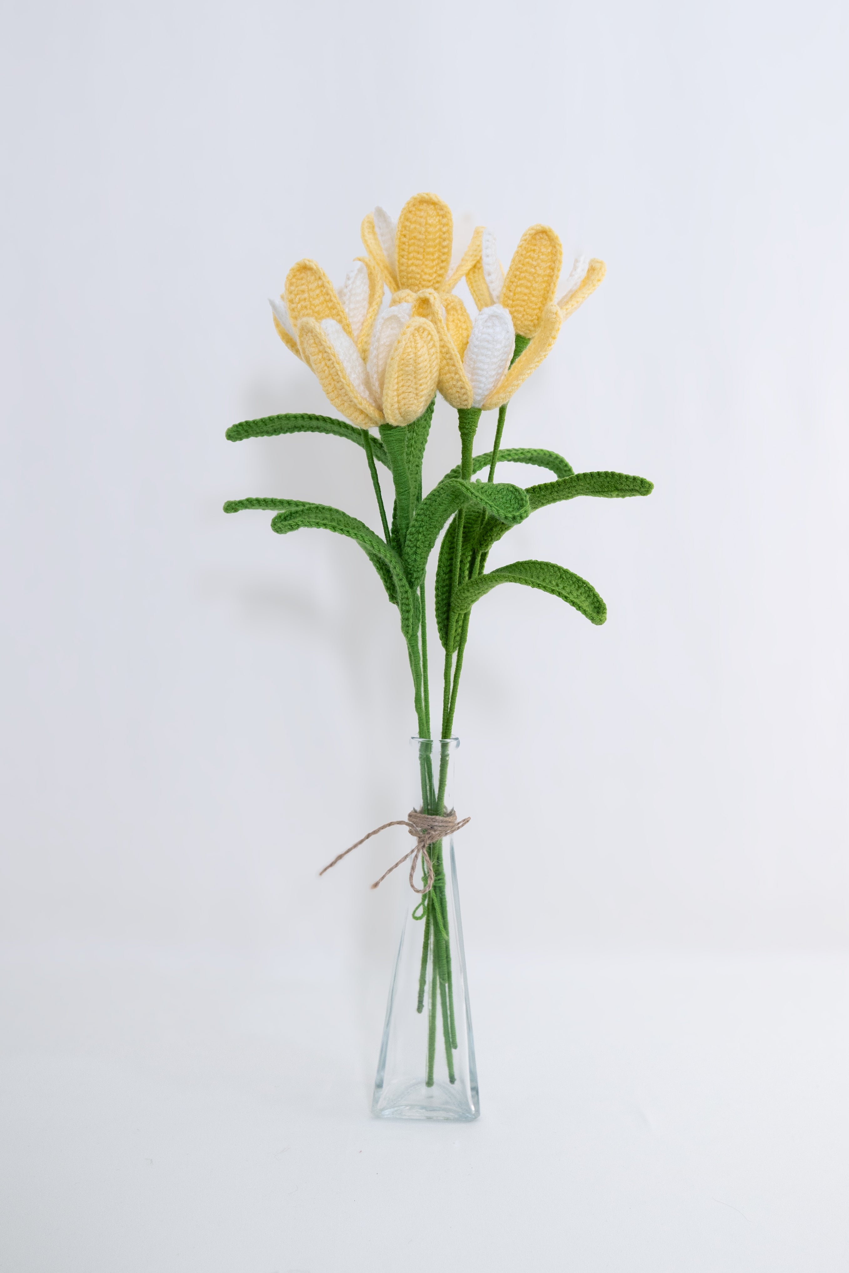 Tulip