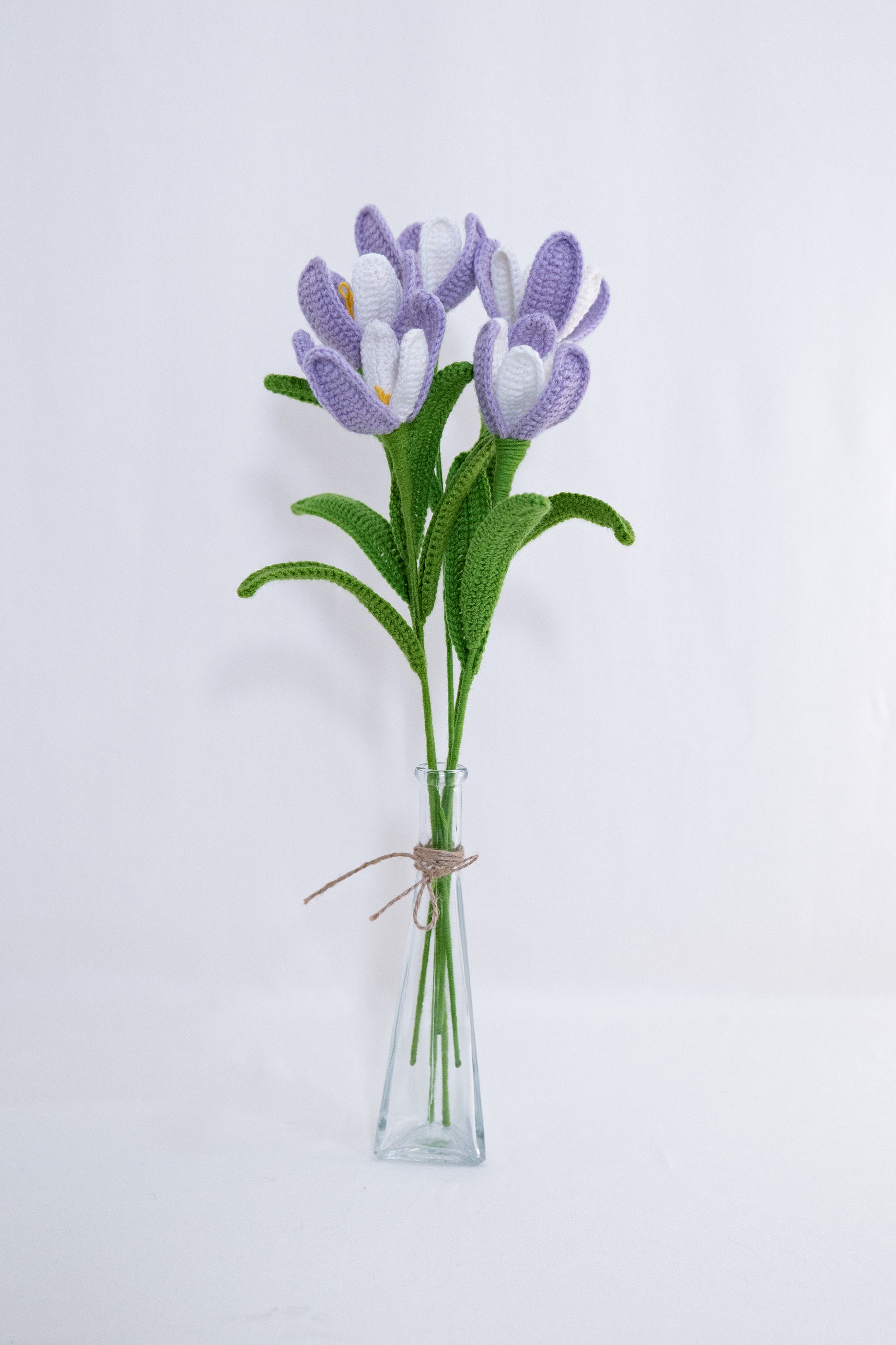 Tulip