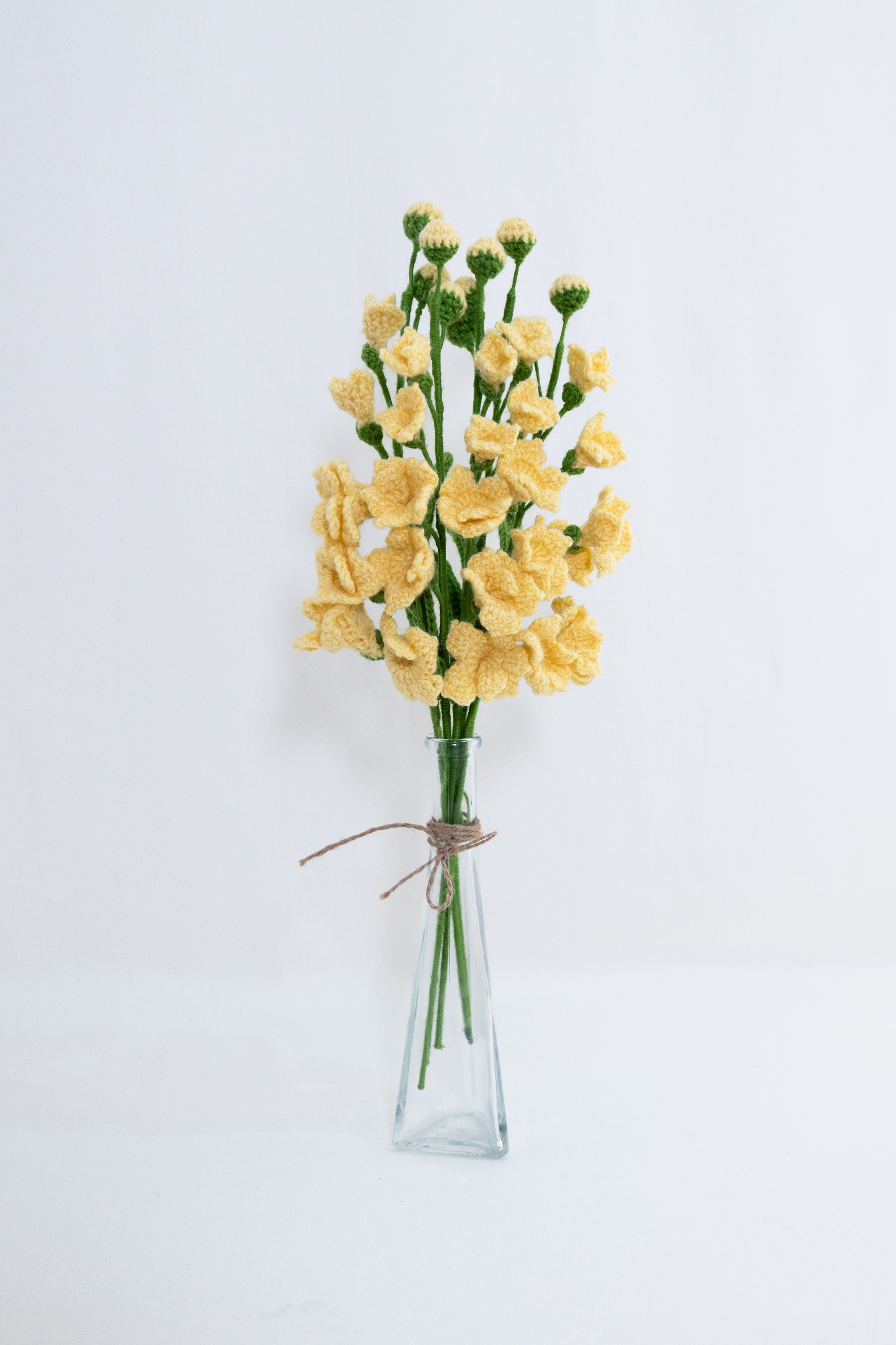 Freesia