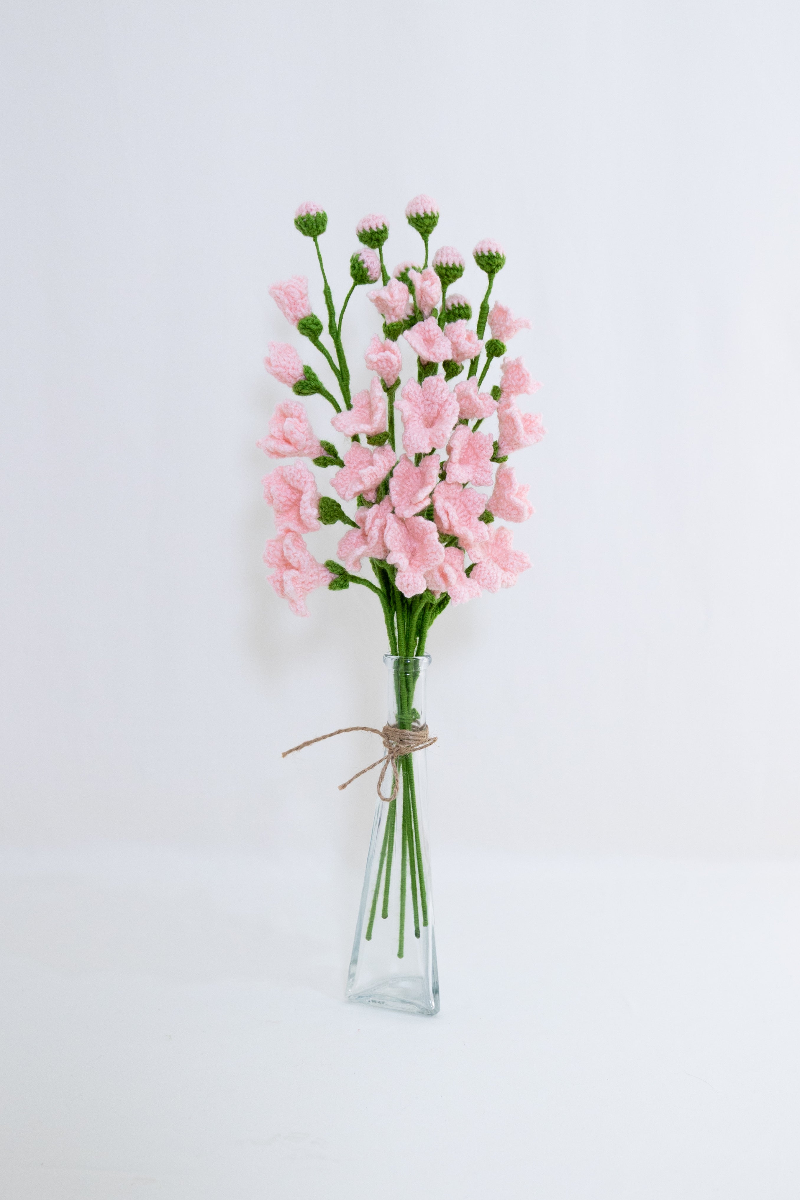 Freesia