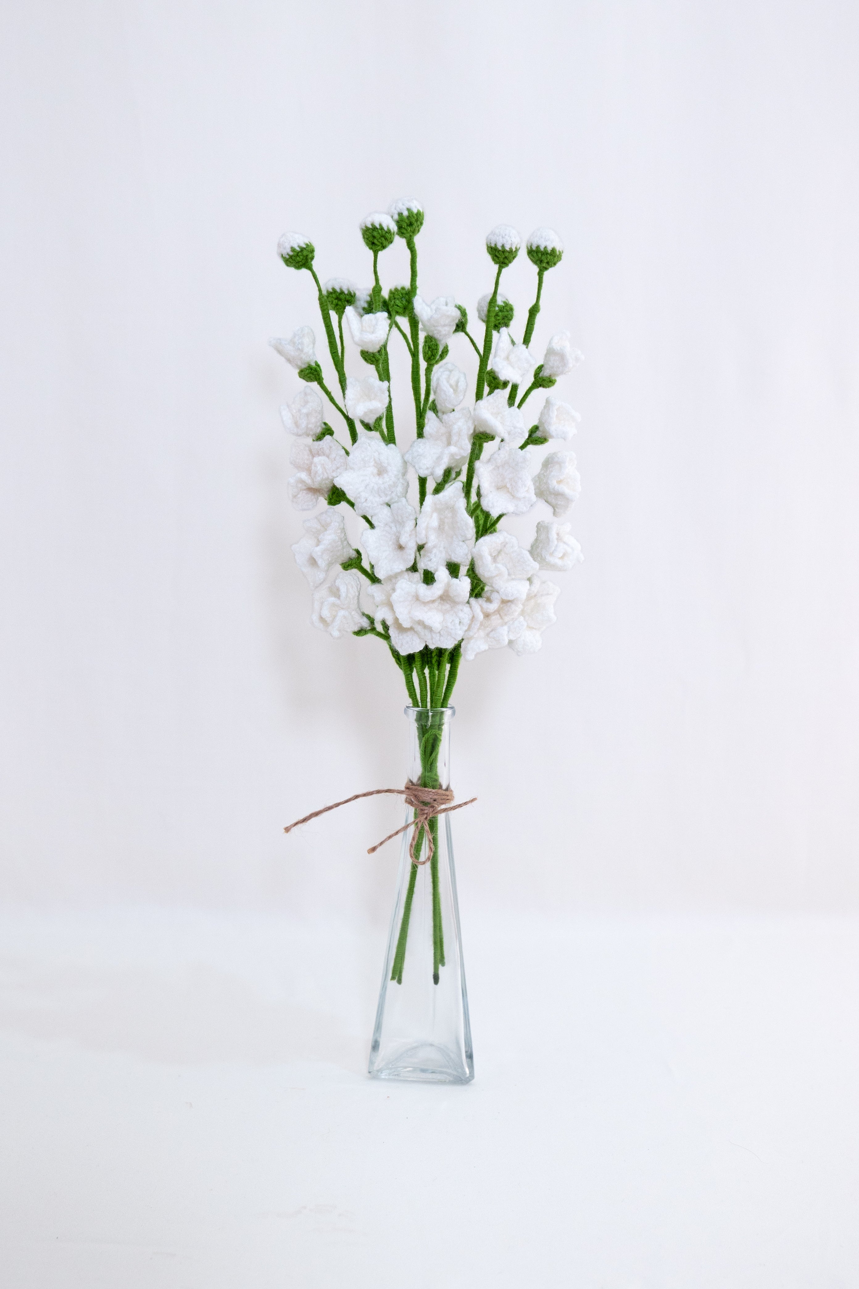 Freesia