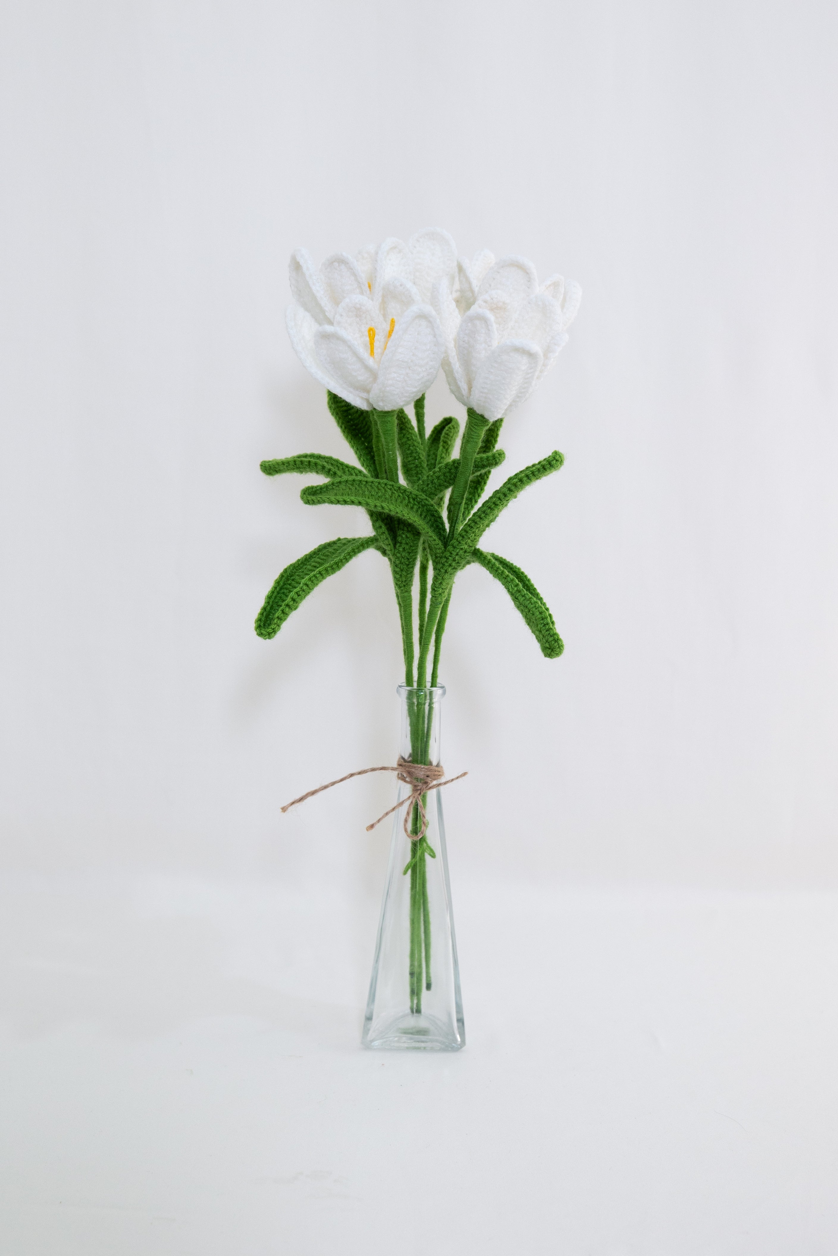 Tulip