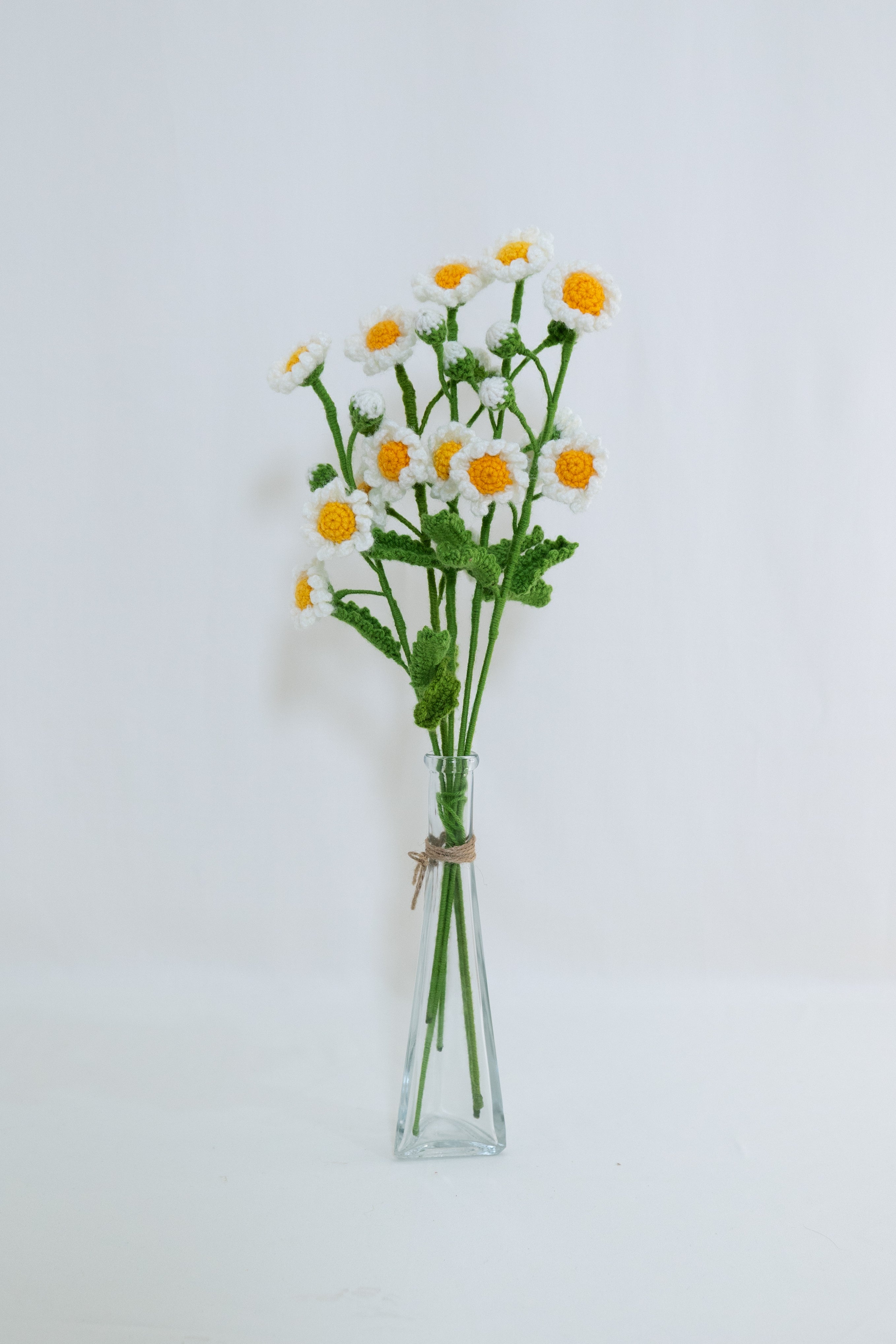 Daisy