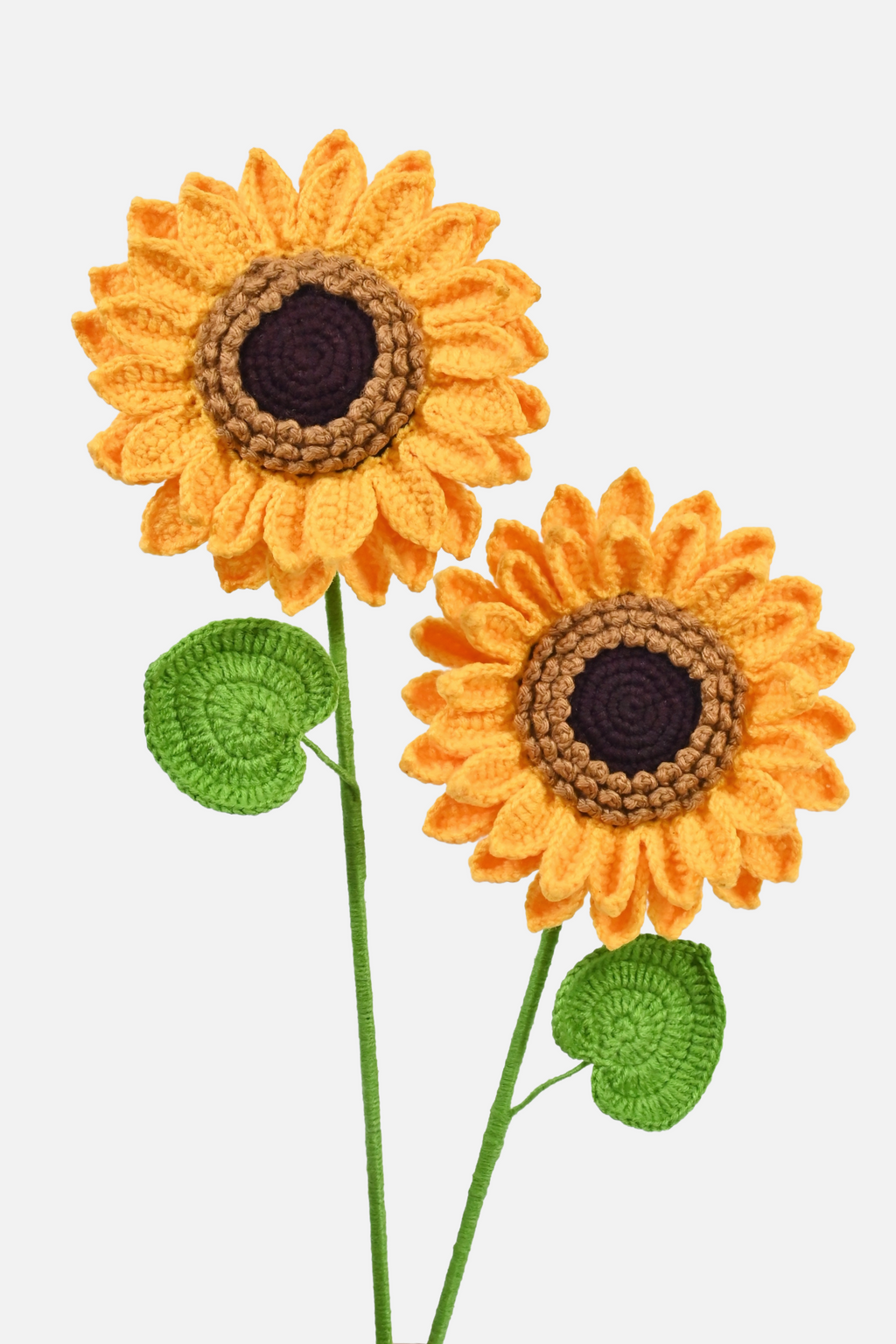 XL Sunflower