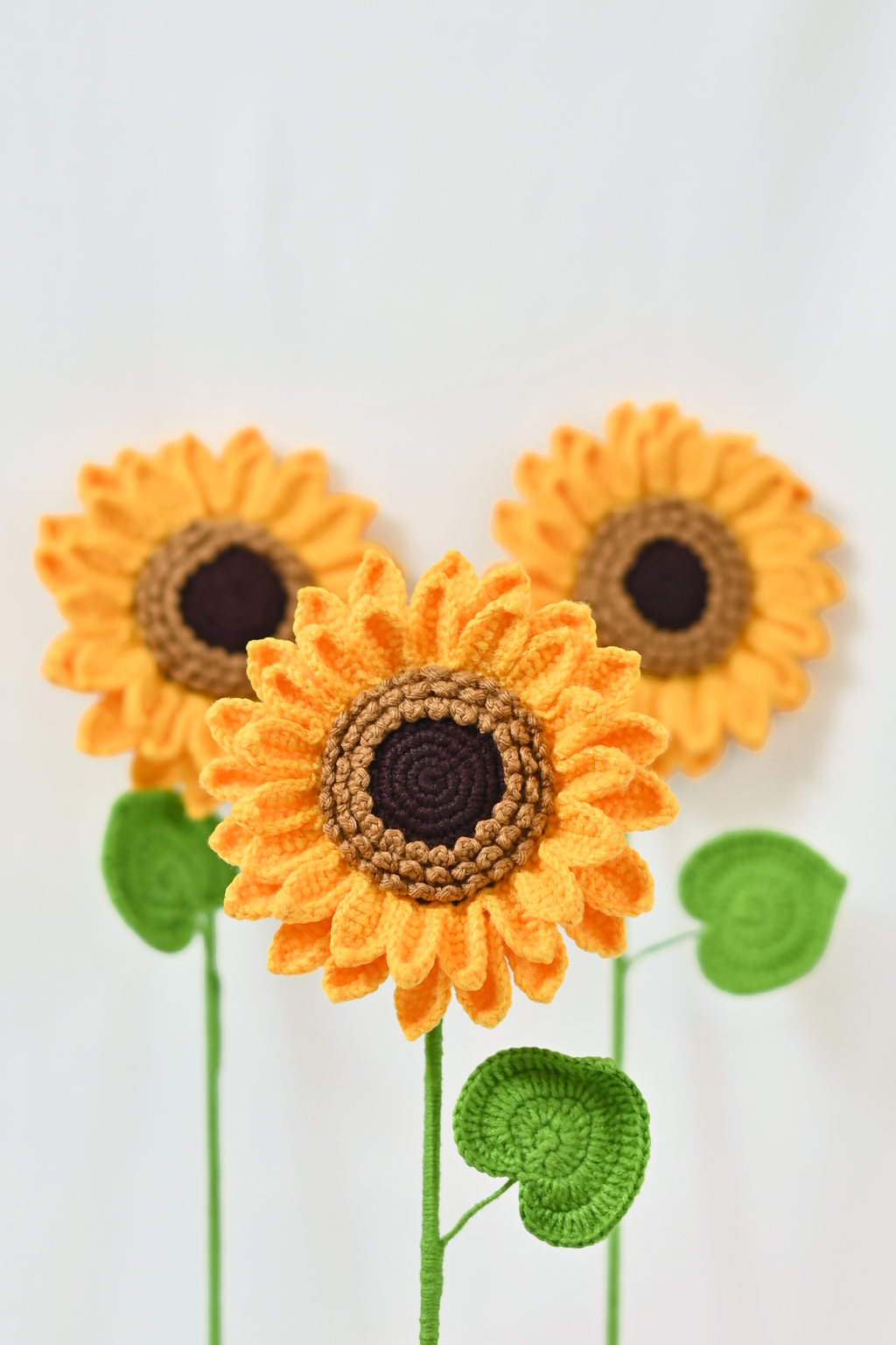 XL Sunflower