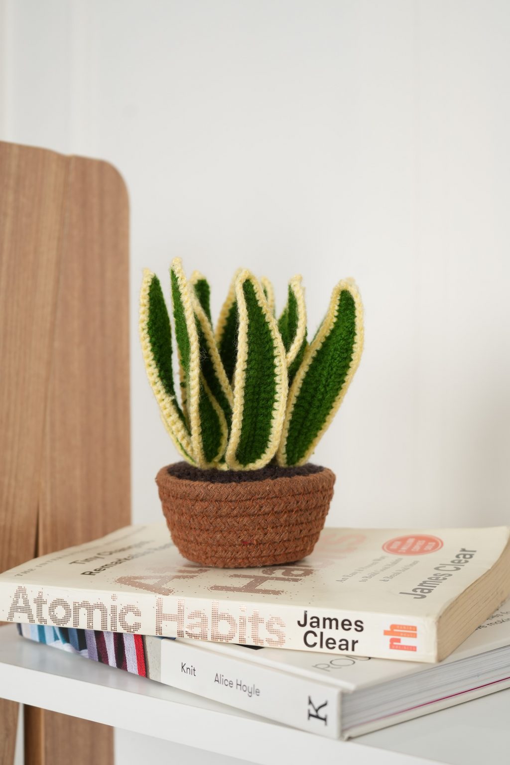 Snake Plant