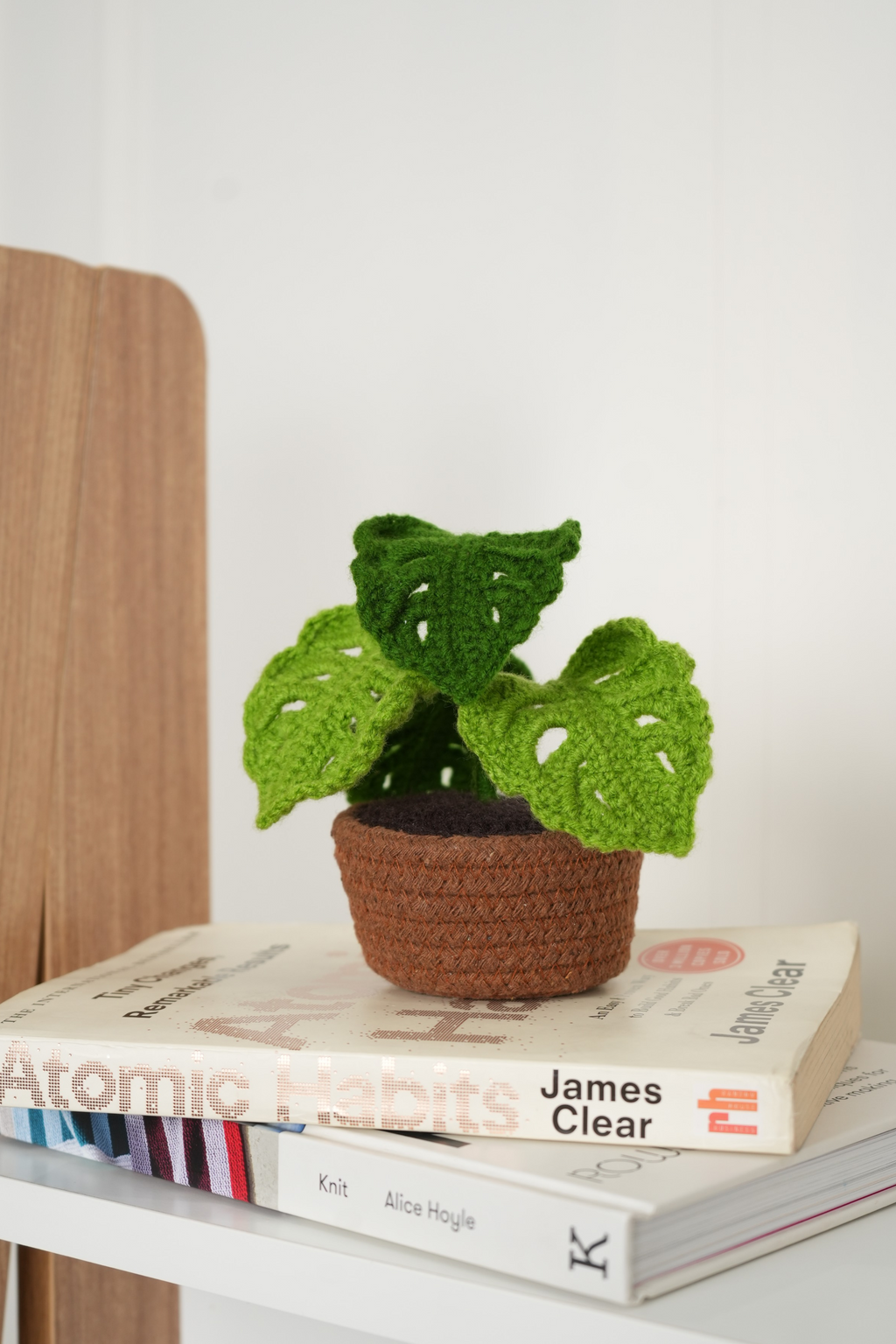 Monstera